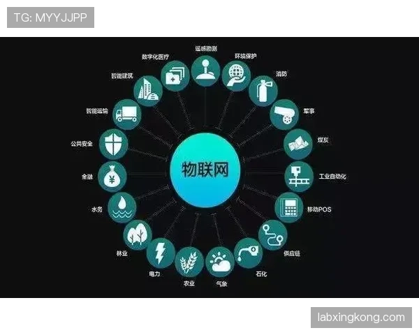 维蒂尼亚未来能否迎来爆发？潜力与成长空间分析